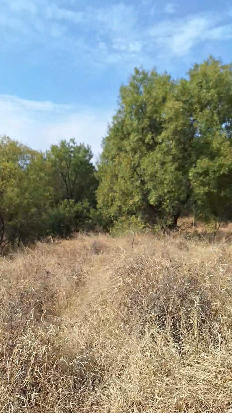 6 Bedroom Property for Sale in Koster North West